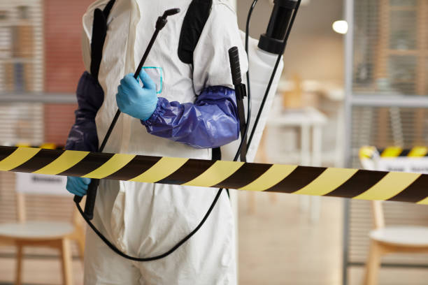 Professional Sewage Cleanup technician working in Kent, OH